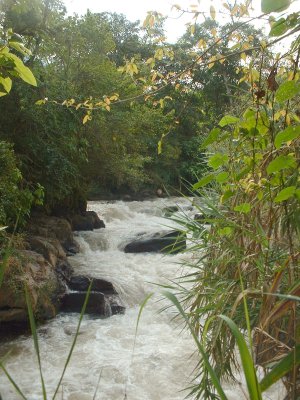 river photo